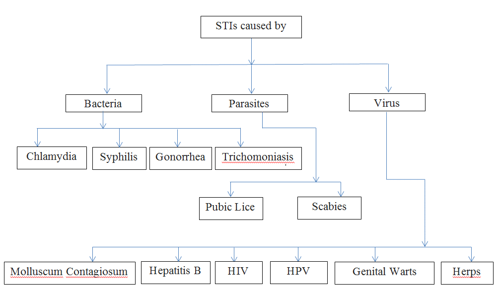 The Ultimate Guide To Sexually Transmitted Diseases Cupid Limited